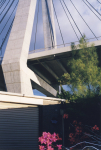 Beneath Anzac Bridge
