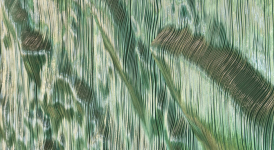 Migration by Lutz Haufschild, Anchorage airport